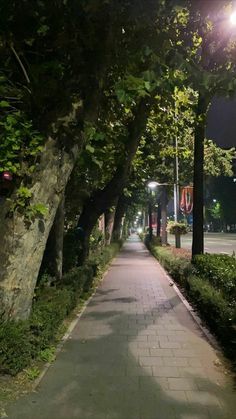 the sidewalk is lined with trees and bushes at night time, as well as street lights