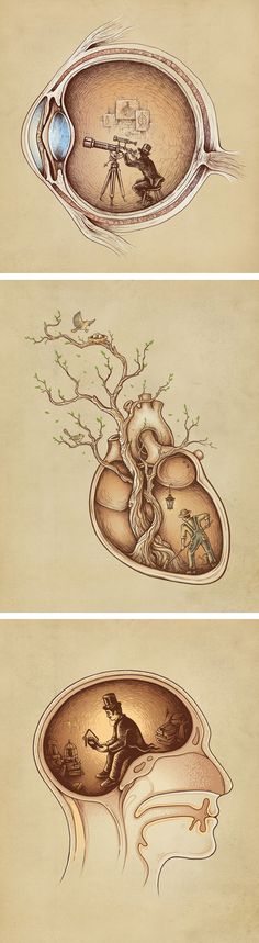 a drawing of a human heart with trees growing out of it and birds flying around