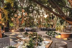 an outdoor dining area with tables and chairs set up for a formal dinner under the trees