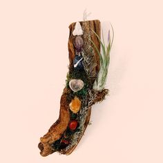 a piece of driftwood with plants and rocks on it