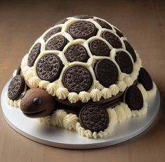 a tortoise shell cake with chocolate cookies on the top and white frosting