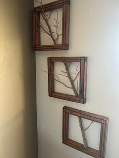 three frames with branches hanging on the wall