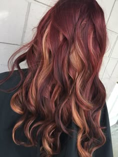 Skunk Hair Highlights, Dark Red With Blonde, Brown Hair With Silver Highlights, Shades Of Brown Hair, Brown Hair With Caramel, Mahogany Brown Hair, Fox Hair Dye, Warm Brown Hair