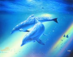 two dolphins swimming in the ocean with a rainbow above them and fish below it, all under water