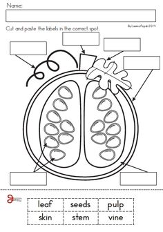 a worksheet for the parts of a fruit and vegetable plant with pictures on it