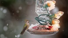 a hummingbird sitting on top of a bird feeder covered in ice and icing