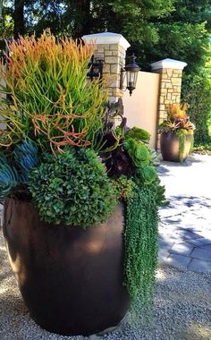 a large potted plant sitting on top of a gravel ground next to a stone wall