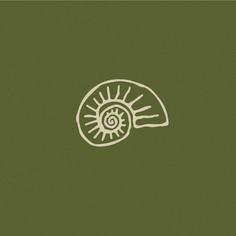 a drawing of a snail on a green background with white lines in the middle and bottom