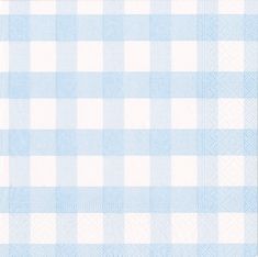 a light blue and white checkered tablecloth with small dots on the edges,