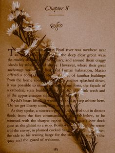 an open book with flowers on it