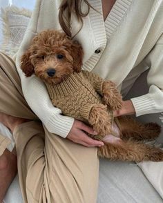 a woman holding a brown dog wearing a sweater and pants, sitting on a couch