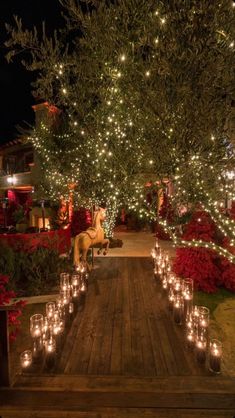 a wooden walkway covered in lots of lit candles next to trees and bushes with lights on them