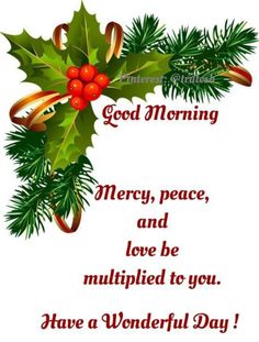 a christmas card with holly and mist on it, saying good morning merry peace and love be multiplied to you have a wonderful day