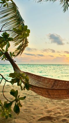 a hammock on the beach at sunset