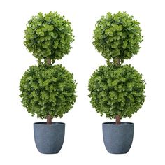 two potted plants are shown in the shape of balls on top of each other