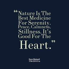 #mymetaworld Quotes About Serenity, Tranquility Quotes, Be Still Quotes, Serenity Quotes, Nature Peace, One Little Word, Quotes Nature, Share Quotes, Peace And Tranquility