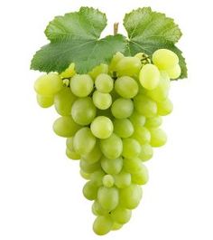 a bunch of white grapes hanging from a vine with green leaves on the top and bottom