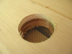 a hole in the side of a piece of wood