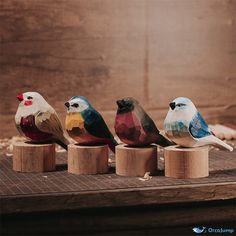 three colorful birds sitting on top of wooden blocks