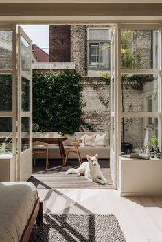 a white dog laying on top of a wooden floor next to an open patio door