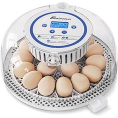 an automatic egg inclosor with six eggs in it and the timer on top