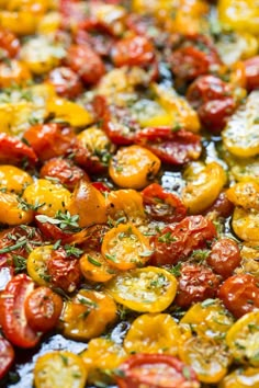 tomatoes with herbs and seasoning in a pan