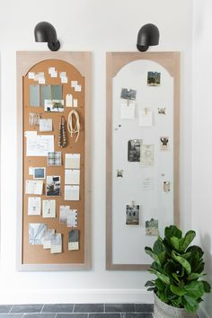 two bulletin boards with magnets and papers on them next to a potted plant