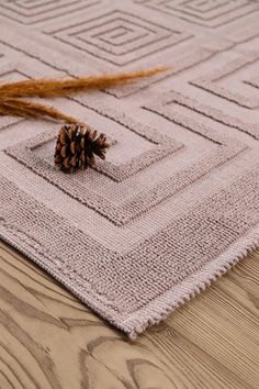 a pine cone sitting on top of a rug