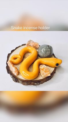 an orange snake is sitting on top of a piece of wood with rocks in the background