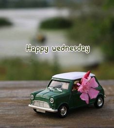 a small green car with a pink flower in the back seat and happy wednesday written on it