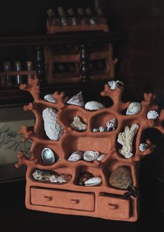 there are many shells and other things in the trays on this table, including seashells