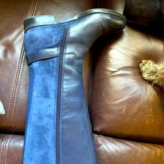 Never Worn Navy Size 6 Tall Boots Blue Ankle Boots For Work, Casual Blue Boots With Suede Lining, Casual Blue Knee-high Boots, Blue Almond Toe Boots, Blue Round Toe Workwear Boots, Blue Workwear Boots With Round Toe, Navy Round Toe Boots For Fall, Blue Almond Toe Boots For Fall, Blue Leather Boots For Fall