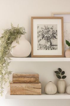 some white vases and plants are on the shelves