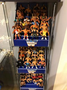 a display case filled with wrestling action figures