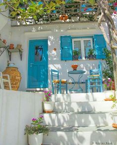 a house with blue shutters and potted plants