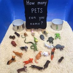 there is a sign that says how many pets can you name? in the sand