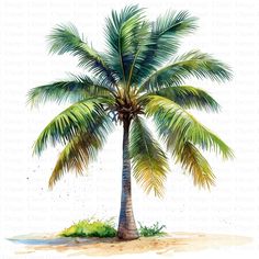 a watercolor painting of a palm tree