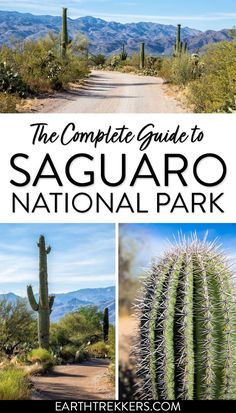 the complete guide to saguaro national park