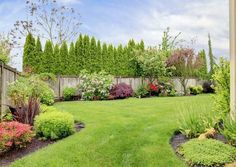 a lush green yard surrounded by trees and bushes