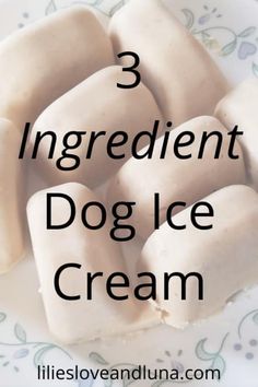 three ingredient dog ice cream on a plate with the words 3 ingredients in front of it