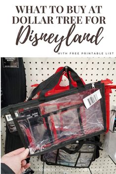 what to buy at dollar tree for disneyland with free printable list