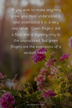 Let’s read an inspiring collection of garden quotes that will remind us of the wisdom, beauty, and life lessons found in the petals and greenery of a garden! The Wisdom, A Garden, Planting, The Beauty, You Must, Reading