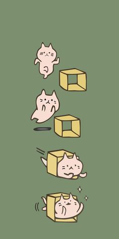 three cartoon cats with boxes on their heads and one cat in the other's mouth