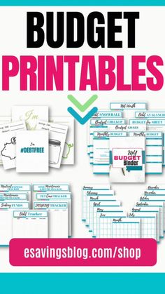 the budget printables book is shown in pink, blue and white with text that reads