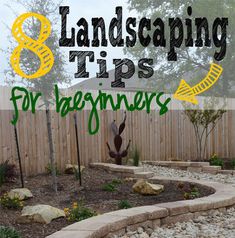 landscaping tips for beginners with text overlay