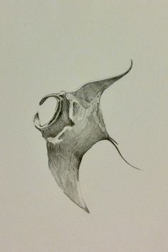 a drawing of a fish with its mouth open