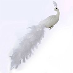 a white bird flying through the air with feathers in its beak and wings spread out