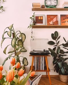 a record player sitting on top of a wooden table next to a potted plant