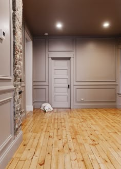 an empty room with a dog laying on the floor