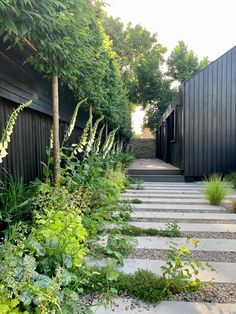 the garden is lined with plants and gravel, along with stone steps leading up to two black buildings